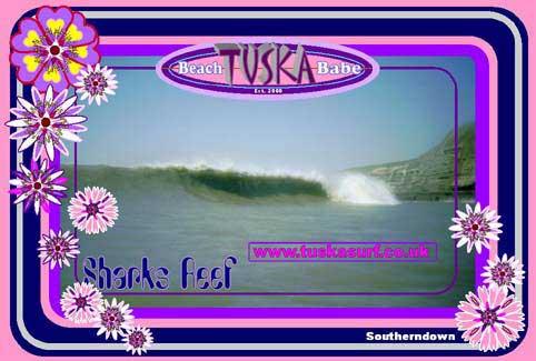 Surf action photo on Gilrs Surf T shirt or Hoody