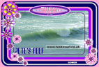 surf photo of petes reeef gower wales uk