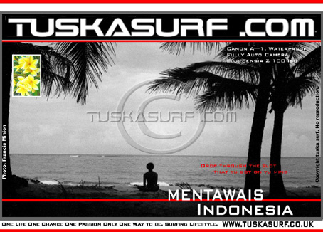 Surf and surfing photos of The Mentawais  Indonesia