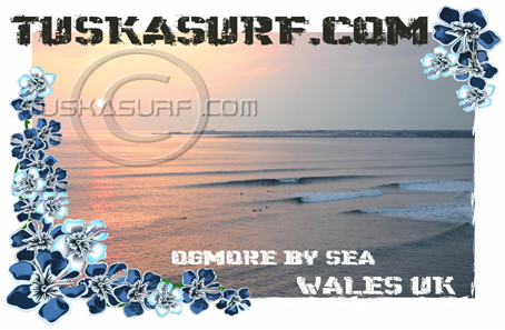 Get it on a Surf T shirt